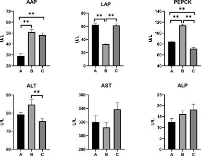 Combined Toxicity Evaluation of Ochratoxin A and Aflatoxin B1 on Kidney and Liver Injury, Immune Inflammation, and Gut Microbiota Alteration Through Pair-Feeding Pullet Model